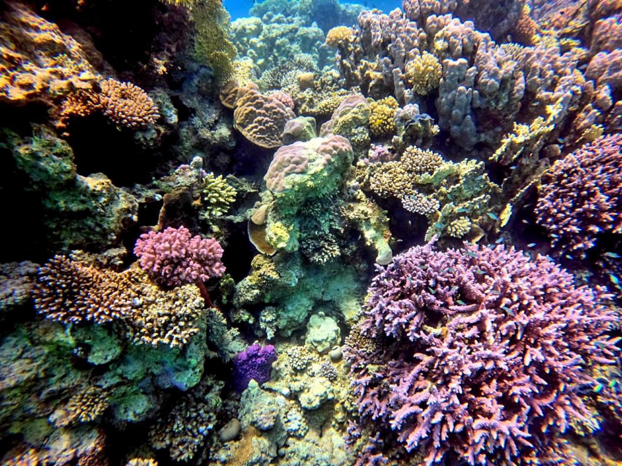 Alam B&B Marsa Alam ภายนอก รูปภาพ