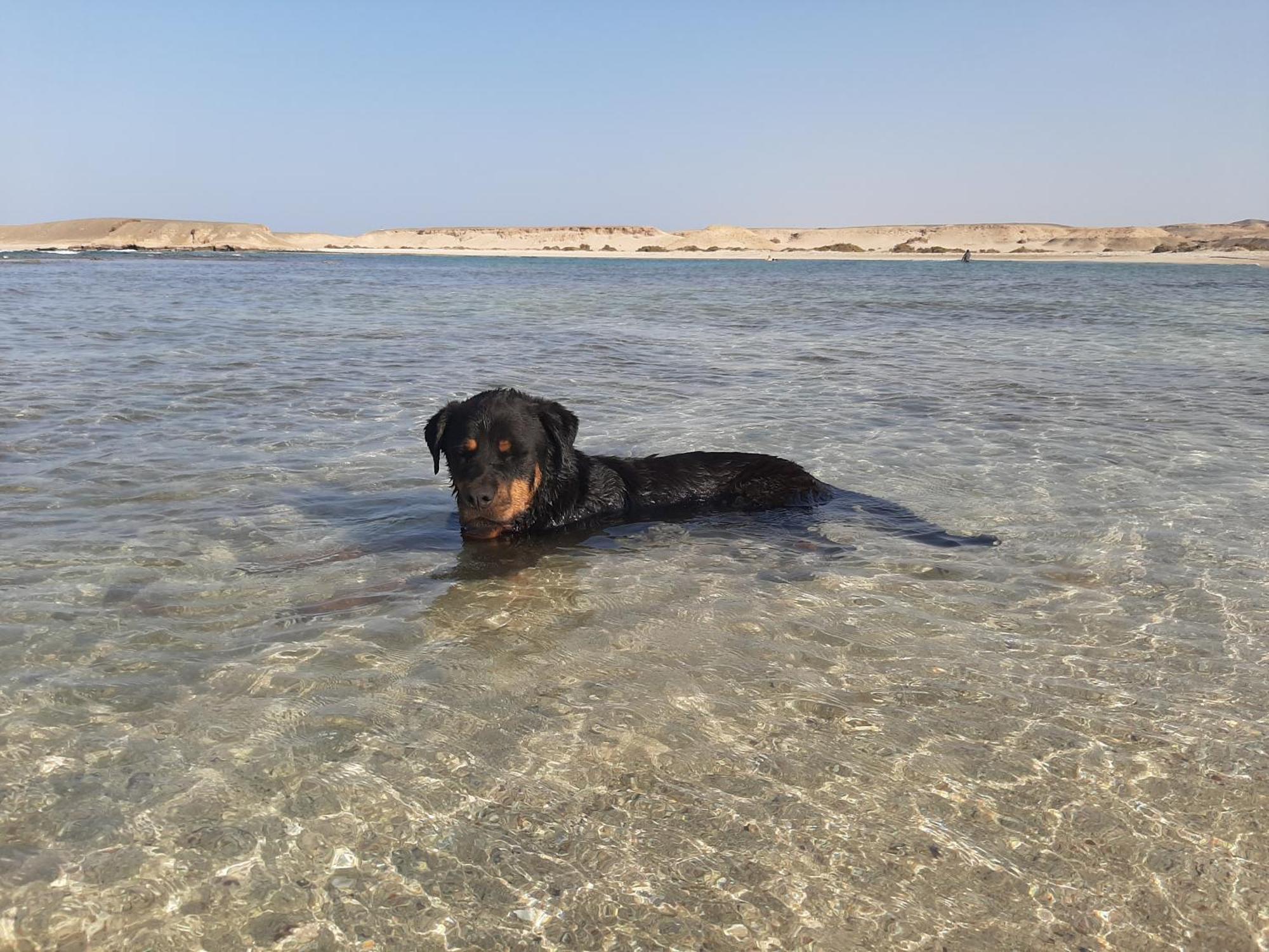 Alam B&B Marsa Alam ภายนอก รูปภาพ